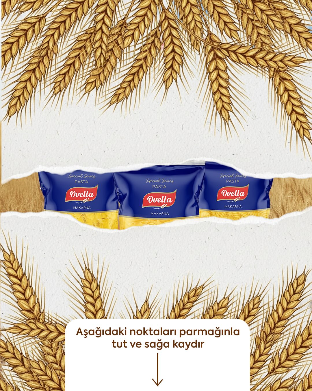 <br />
<b>Warning</b>:  Undefined variable $companyName in <b>/var/www/vhosts/ovamakarna.com.tr/httpdocs/data/footer.php</b> on line <b>106</b><br />
